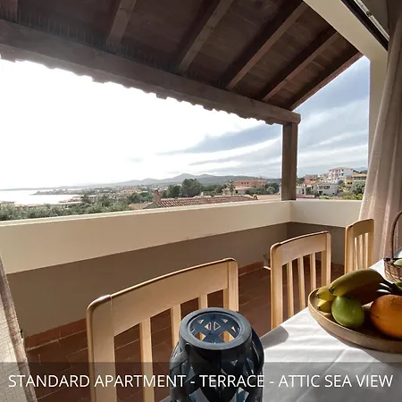 Homey Experience - Design *